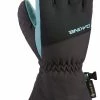 Dakine Rover GORE-TEX Glove - Kids