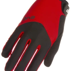 Evo Palmer Comp Trail