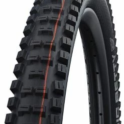 Schwalbe Big Betty
