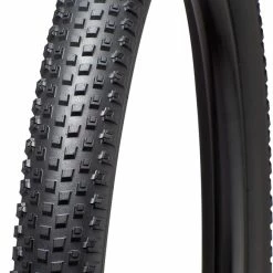 Specialized Renegade Control 2Bliss Ready T5 29-inch